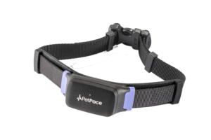 Read more about the article Smarter Collars, Healthier Pets: PetPace 2.0 Collar And It’s Advantages